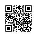 21110-VE3-000 *20001-VE3-010
