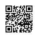 21111-32401 