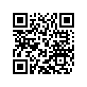 21111003020 Blind plug