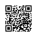211181062 Decompressor, Lever