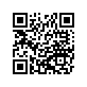 21119-0049 IGNITER