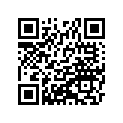 21119-1221 IGNITER