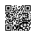 21119-1417 IGNITER