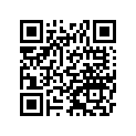 21119-S006 IGNITER