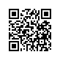 212-11311-00-00 