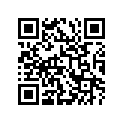 21240-04C10-000 