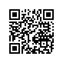 21243-20E40-000 