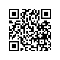 21251-33200-000 Кольцо/шайба