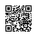 21313-969-000 Shim C, Final Drive