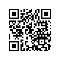 21315-969-000 Shim E, Final Drive