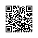 21316-969-000 Shim F, Final Drive