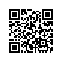 21334-MF5-000 Shim (0.95)