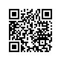 21341-969-000 Shim A (0.40)