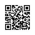 21343-MB0-000 Shim (0.25)