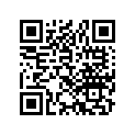 21581-952-770 O-RING,CASE