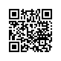 21581-VL0-B00 O-RING,CASE