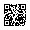 21631-24303 Inner Race