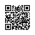 21900128 KIT,PSTN,4.075