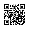21953-11 PISTON RING SET, .010 OS | 0.010 in OS