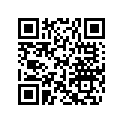 219900332 HULL DECAL
