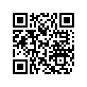 219900894 Decalque Coque *decal-hull