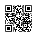 219901964 Decal.arr.ga.  *decal-rear Lh.