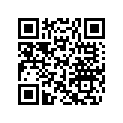 219902206 Decalque       *dash Decal