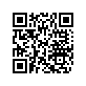 219902724 Decalque Ga.   *l.h. Decal (gti Rental )