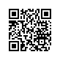 219902804 Decalque       * Decal (gti Rental )