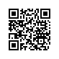 219903045 DECAL, SEA-DOO RXT