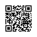 219903117 DECAL, SEA-DOO