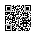 219903423 DECAL, GTI 130