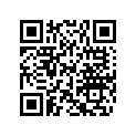 219904357 Hull Decal