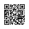 219904980 iBR Decal LH