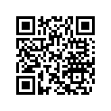219904981 iBR Decal RH