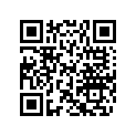 219905024 LH Decal Commodo