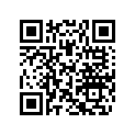 219905186 Decal Mirror