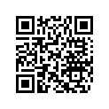 219905539 iBR Decal RH