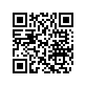 219905809 LH Decal &quotRXT X"