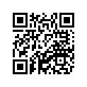 21L-H4717-00-00 