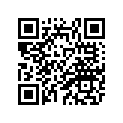 21N-24110-00-01 