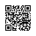 2204364 PLUNGING JOINT