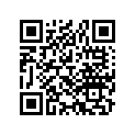 22110-952-771 *06221-960-305