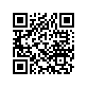 22120-952-771 *06221-960-305