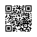22121-GZ4-670 Грузики центробежные
