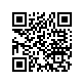 22131-148-700 Plate, Ramp