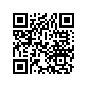 22132-148-700 Piece, Slide