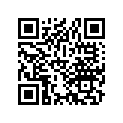 22132-187-000 Piece, Slide