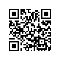 22201-040-000 DISK, FRICTION
