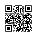 22710-374-000 Рукоятка муфты